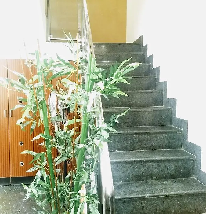 Olive Grand-1